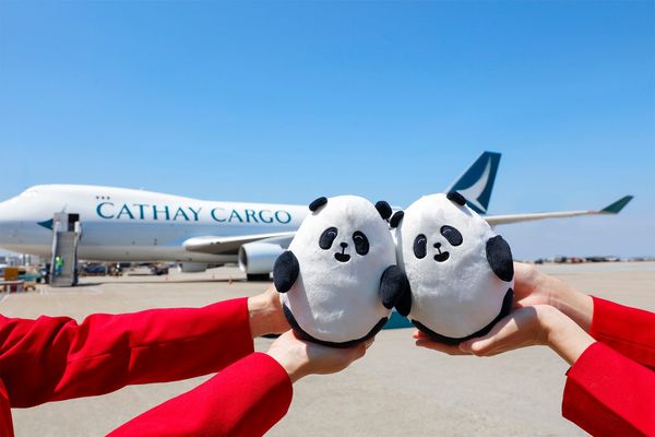 兩個穿著紅色國泰航空的人在機場停機坪上,於國泰貨運飛機前手持熊貓毛絨玩具,天空晴朗湛藍。